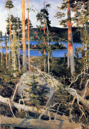 Lake in Wilderness